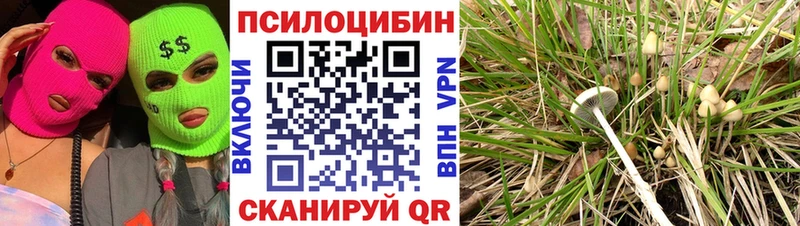 Псилоцибиновые грибы мухоморы  Вуктыл 